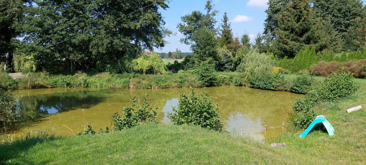Agroturystyka Zielony Zakatek Villa Grudna ภายนอก รูปภาพ
